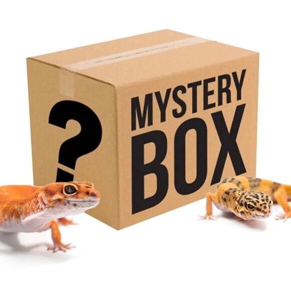 Reptile Mystery Box - Assorted mystery box meant for a reptile/owner - Picture 1 of 1